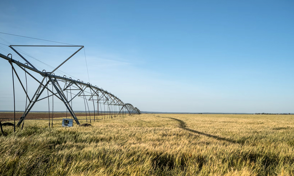 LOESS ELECTRICAL ENGINEERING